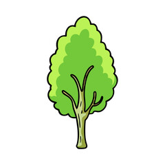 Obraz premium Cartoon tree drawing illustration vector graphic design nature forest green tree image art