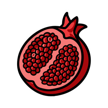 red pomegranate fruit cut open clip art preview