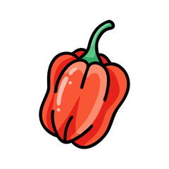 Isolated red bell pepper drawing vector illustration for healthy eating and cooking design