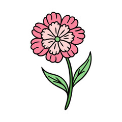 Pink flower drawing illustration vector art design floral botanical garden blossom bloom petal nature