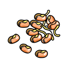 Illustration of sprouting mung beans for healthy eating and organic food concept design element