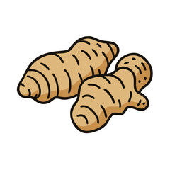 Fresh ginger root spice drawing for healthy cooking and herbal remedy illustration vector art