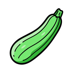 Isolated green zucchini vegetable illustration for healthy eating and cooking design element vector