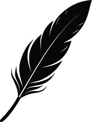 Fototapeta premium vector illustration of feather