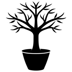 bonsai tree silhouette on white background