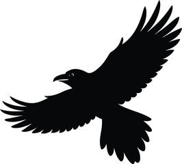 single raven flying
