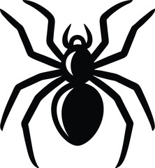 single spider silhouette