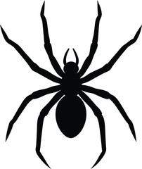 single spider silhouette