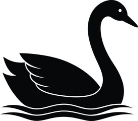 single swan on lake silhouette