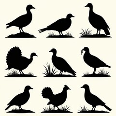Fototapeta premium Vector set of hunting silhouettes for various game birds including ducks, turkeys, quail, and pheasants, camouflage, vector illustration, wildlife