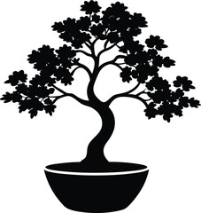 vector bonsai tree in pot