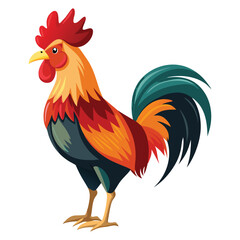 Rooster