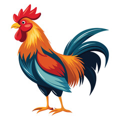 Rooster