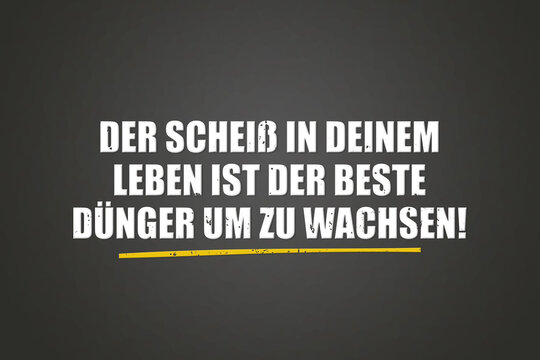 Der Scheiss in deinem Leben ist der beste Duenger um zu wachsen (The shit in your life is the best fertilizer to grow) - A blackboard with white text.