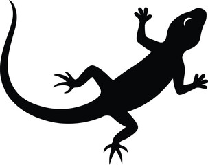 Obraz premium vector lizard silhouette