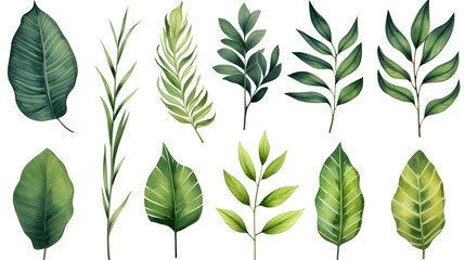 Collection of Vibrant Tropical Green Leaves for Design Projects on White Background