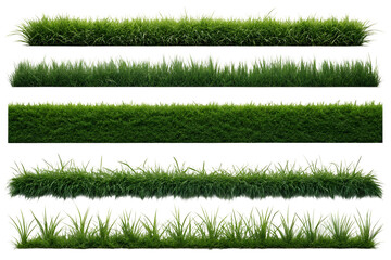 grass, Set of green grass on transparent background