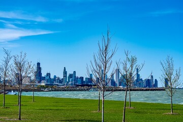 Obraz premium The Skyline of Downtown Chicago and Lake Michigan as viewed from Margaret T. Burroughs Beach along DuSable Lakeshore Drive
