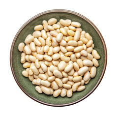 Fresh white beans displayed in a green ceramic bowl on a countertop at midday sunlight