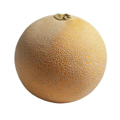 Melon resting on a surface displaying its textured rind and round shape in a simple setting