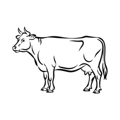 Black And White Line Art Illustration Of A Dairy Cow Standing In Profile View,Graphic Vector Design