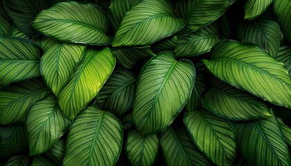 natural real green leaves background for cell phones vertical backgrounds