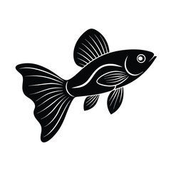 Fototapeta premium Black and white silhouette illustration of a fancy guppy fish with decorative fin details