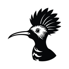 Hoopoe Bird Head Profile, Black and White Illustration, Crest, Beak, Avian