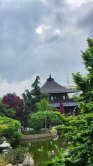 japanese garden in the garden