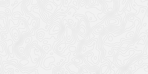Obraz premium Topographic white and bright light grey stylized line essential for effectively communicating the focus and scope of a map or survey. A well-crafted provides clarity on the geographic area.