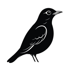Fototapeta premium Elegant monochrome bird silhouette illustration detailed wildlife design avian art ornithology graphic simple bird icon