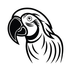 Fototapeta premium Elegant parrot vector illustration exotic bird silhouette design for creative projects