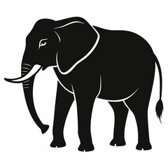 elephant isolated on white background