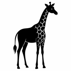 Obraz premium Giraffe silhouette vector on white background