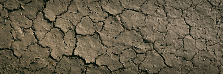 Drying Mud With Cracks - Drought
