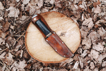 Overhead view of a hunting knife and scabbard