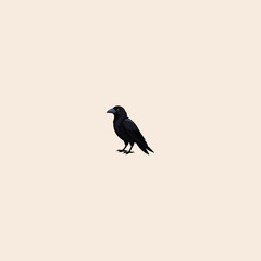 Colorful crow icon flat vector design.