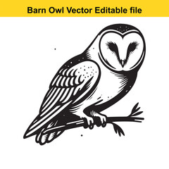 Barn Owl sitting on a dead tree branch