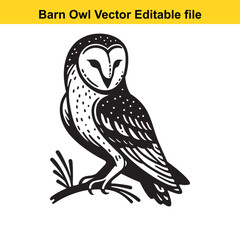 Barn Owl sitting on a dead tree branch
