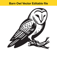 Barn Owl sitting on a dead tree branch