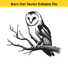 Barn Owl sitting on a dead tree branch