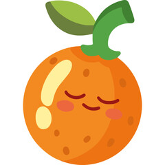 Minimalist Flat Line Orange Fruit Illustration
