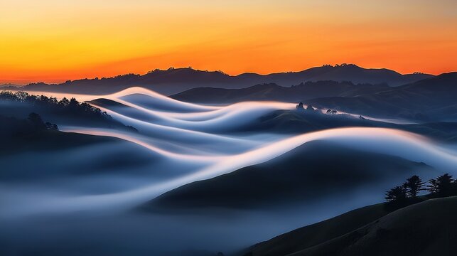   A stunning depiction of sunset over majestic mountains with cloudline in the fg and pine trees lining it