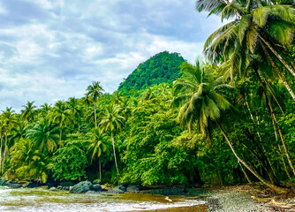 Lush tropical forest and palm-covered hills meet the rocky coastline of São Tomé and Príncipe. A...