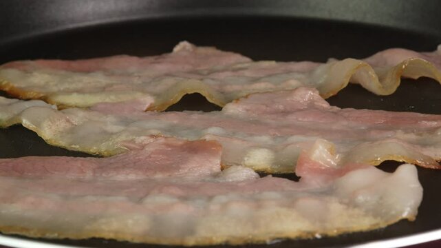 Strips of flavorful raw bacon in a frying pan with splashes of fat, frying bacon. Wet rendered lard from bacon. Slices of fresh smoked meat for making English breakfast