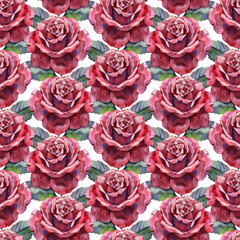 Seamless floral pattern with of red roses. Hand drawn illustration.