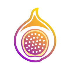 vector illustration of a red onion