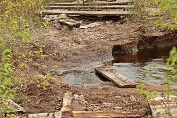 Verfallener Bohlenweg am Ewigen Meer in Ostfriesland