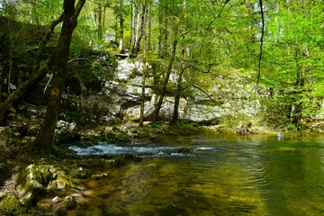 Obraz premium Kotliči spring in springtime at Rakov škocjan in Notranjska, Slovenia