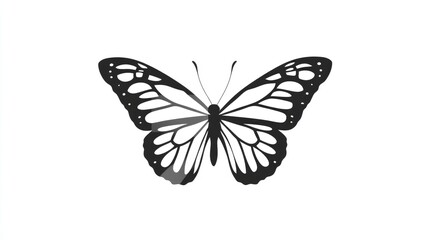 Obraz premium Black and white butterfly graphic
